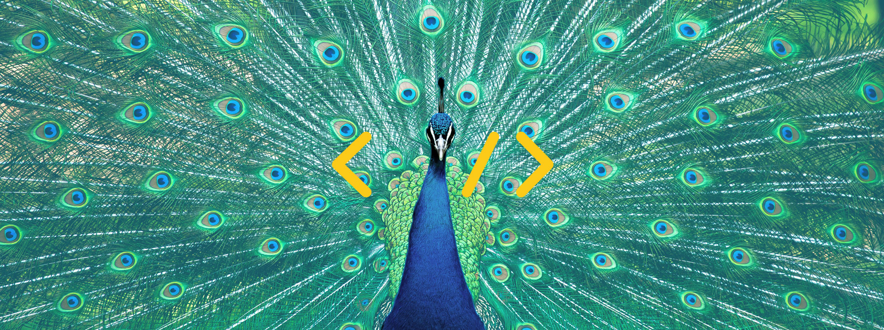 How finance marketers can use schema to boost SEO